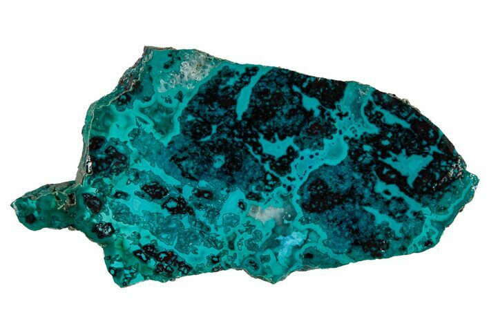 Vibrant Chrysocolla and Shattuckite Slab - Mexico #337040